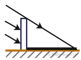 203.webp